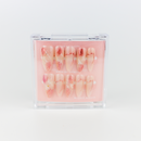 #1937 – Shine &amp; Clear | Long, Oval Reusable Ready-to-Wear Nails