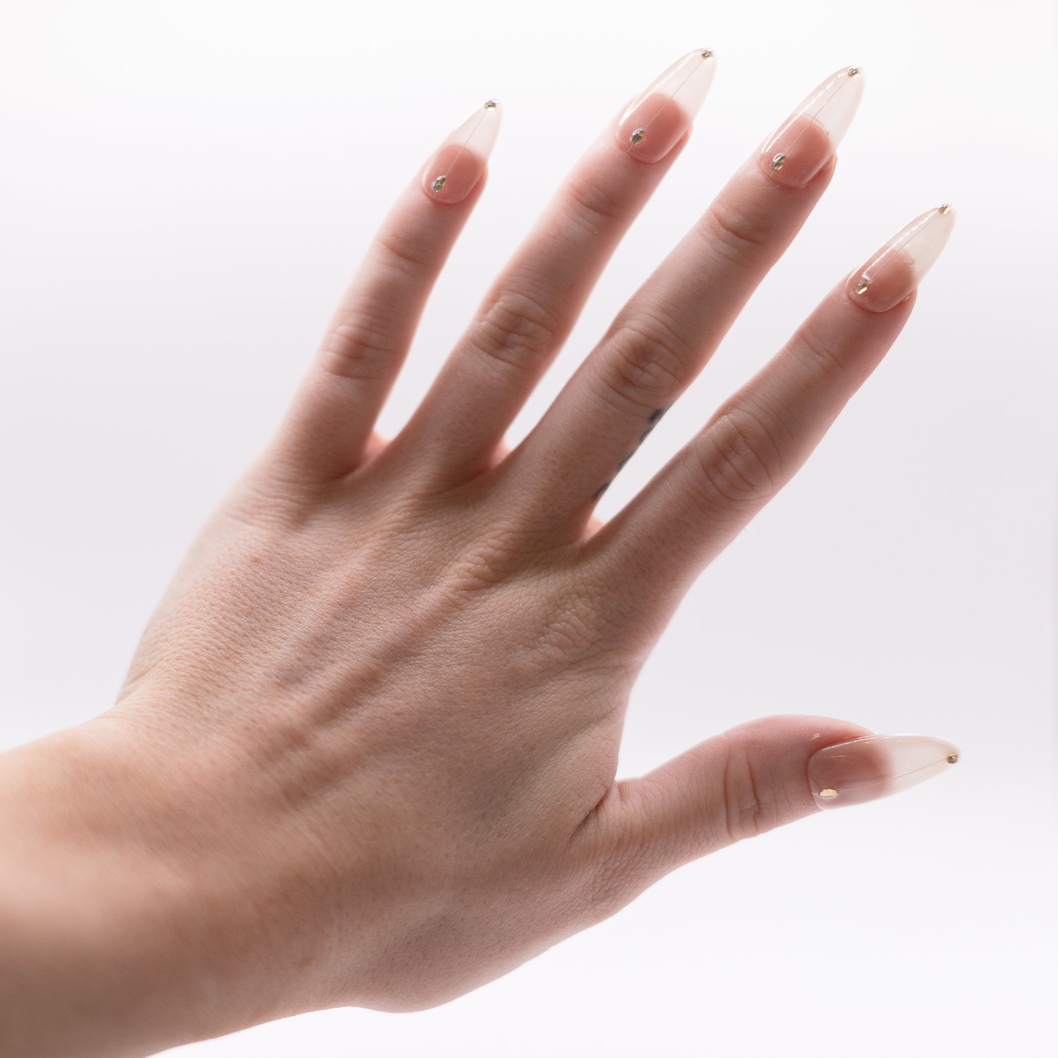 #2756 – Silver Lining | Long, Stiletto Reusable Ready-to-Wear Nails